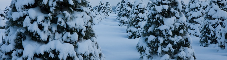 4/19/2026 5:41:00 AM